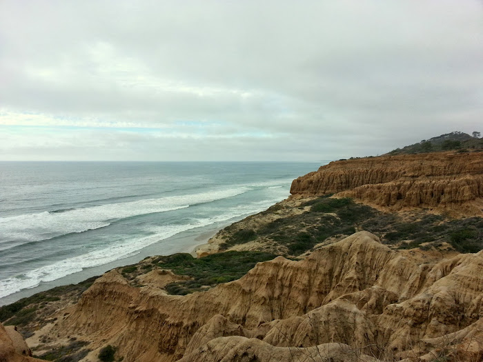 Torrey Pines State Reserve